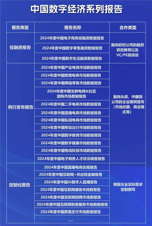 全国电商聚焦数字经济新高地，网经社解析2025上半场网络技术服务答卷