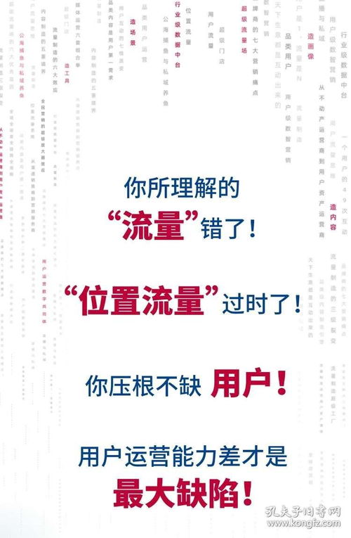 《流量制造与精细化运营实战指南 数字化时代的私域流量变现与IP打造》